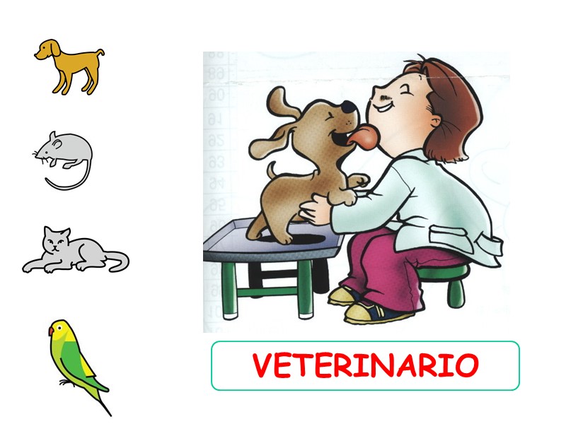 VETERINARIO